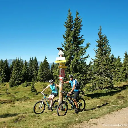 Voglreiter By Interhome Piesendorf